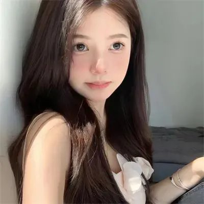 无言的树