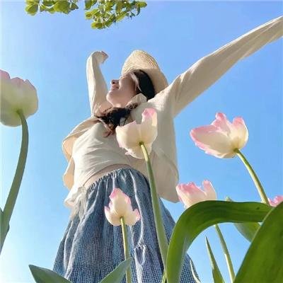 黑社会的墓场:腐朽之花